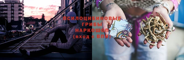 Альфа ПВП Богородск