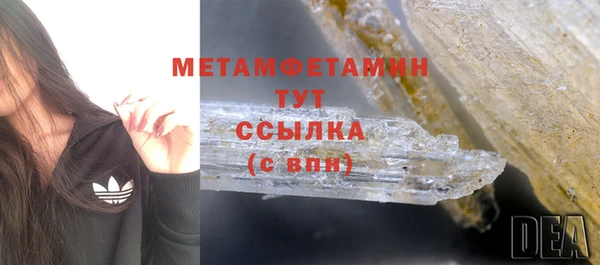 шишки Беломорск