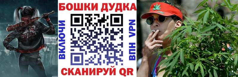 где купить наркотик  Михайловск  Шишки марихуана гибрид 